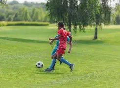 欧洲杯冠军,赔率一览,新葡京,新葡京,新葡京app,新葡京娱乐,新普京赌场